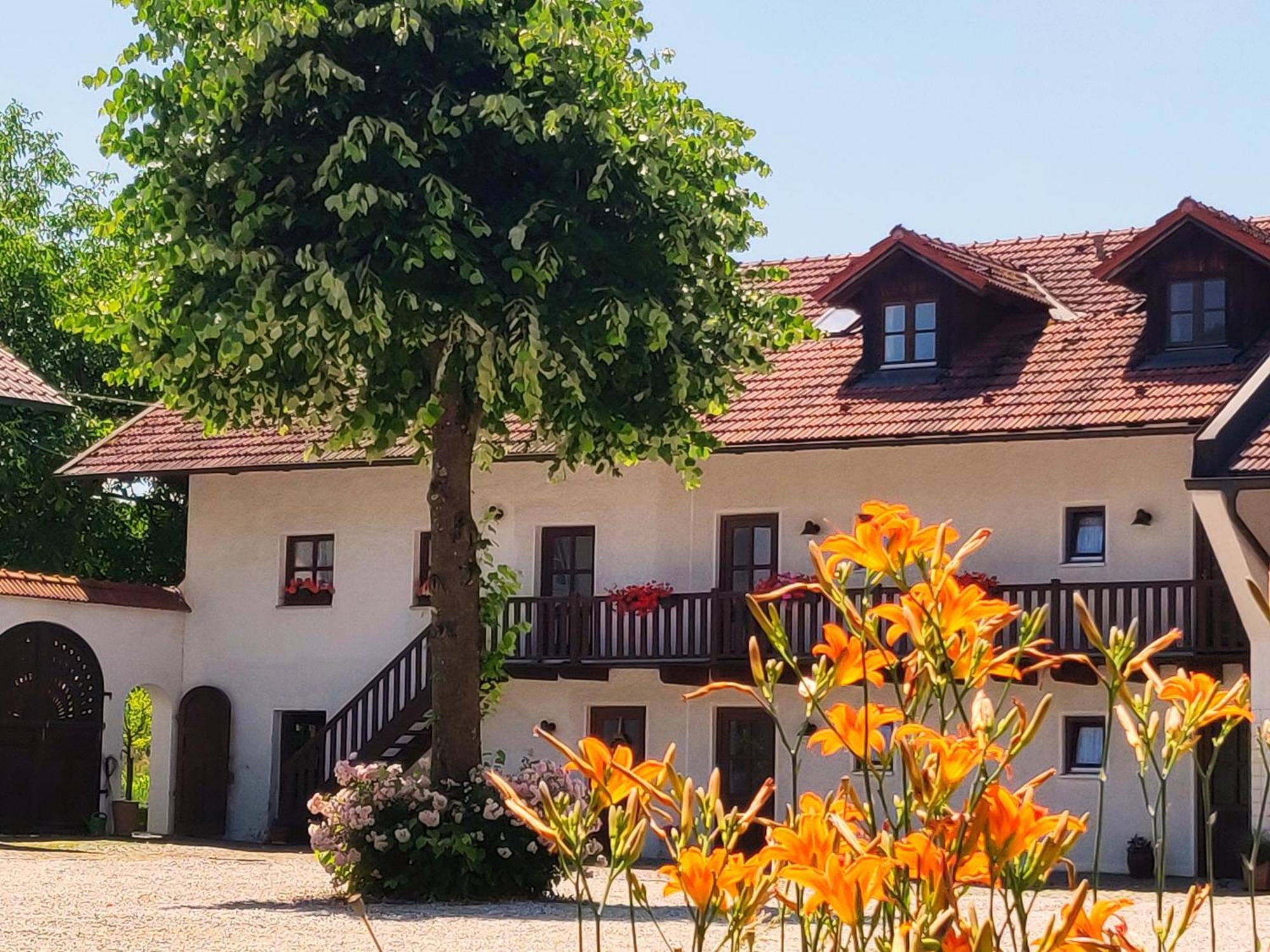 Pension Margaretenhof Bayerbach Экстерьер фото